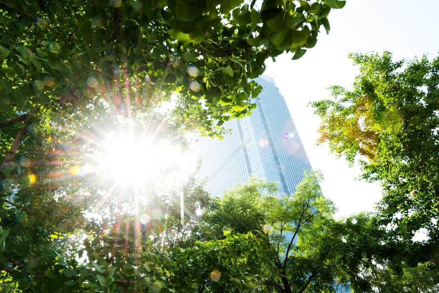 SAP Environment, Health, Safety Management