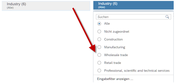 Drop-Down Eingabefilter